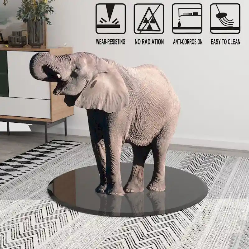 Round Tempered Glass Table Top in Black with Beveled Edge