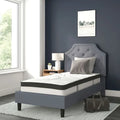 Tufted Platform Bed with 10 Inch Pocket Spring Mattress